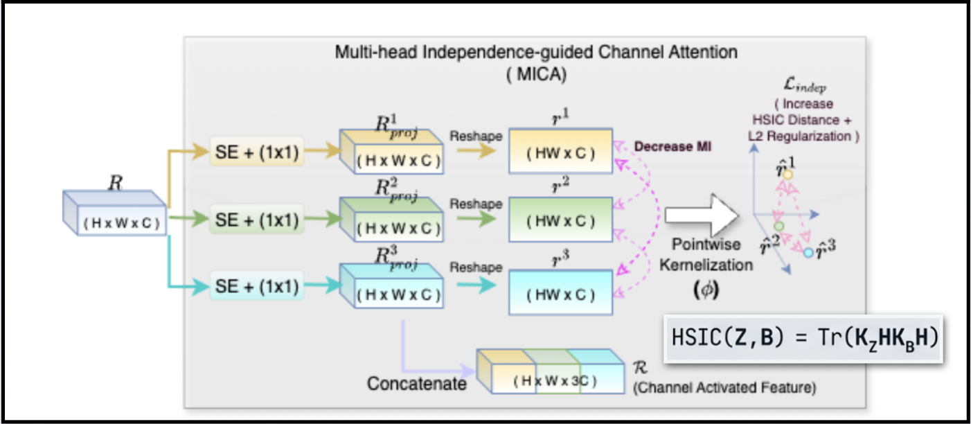 BIIGMA-Net Architecture
