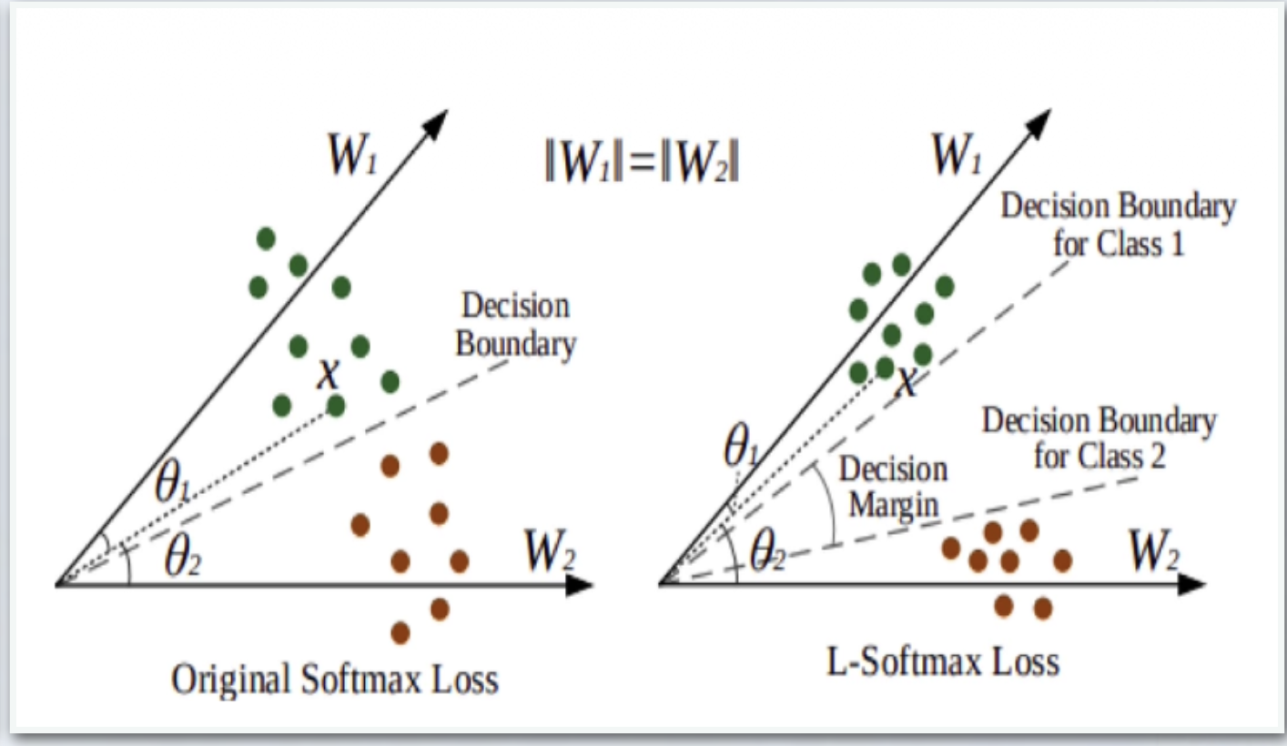 MAAW Loss Results